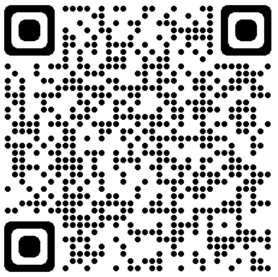 FLASH CODE