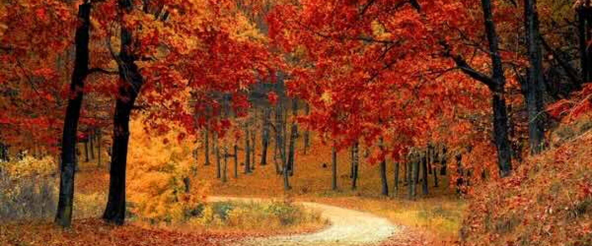 vac automne 2026