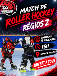 Roller hockey