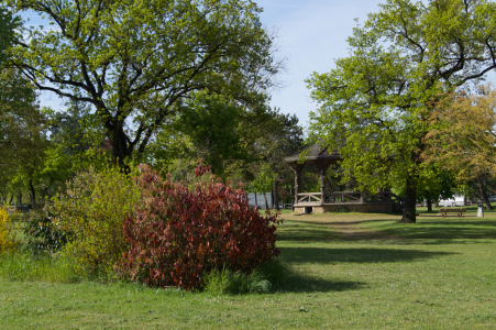 Aubergenville, parc de verdure