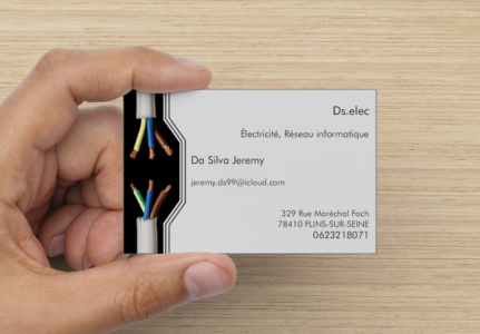 Ds.elec