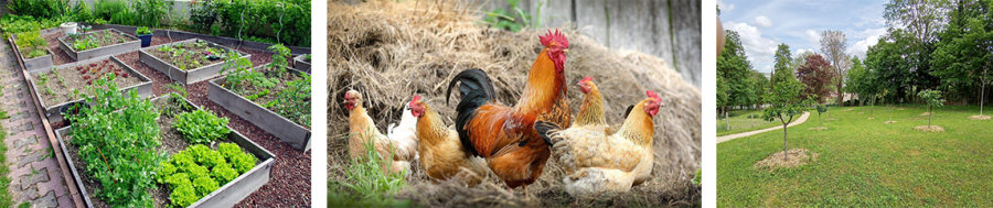 Ferme peda