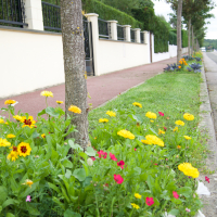 Parterre de fleurs dans une rue