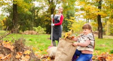 Vos jardins en automne