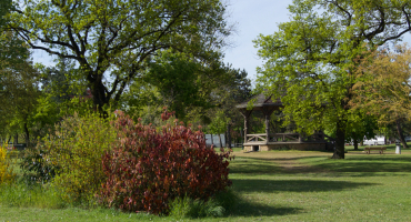 Aubergenville, parc de verdure
